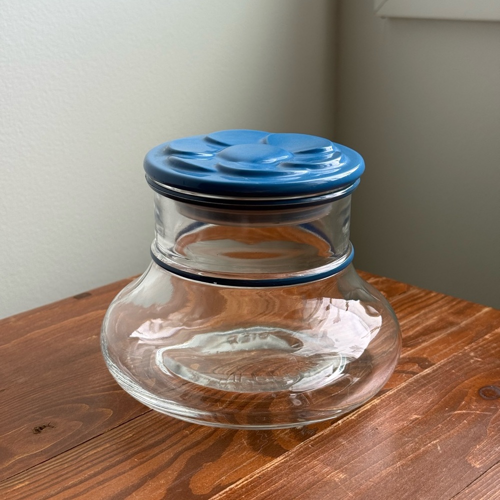 Vintage Storage Jar Blue Daisy Verreries du Gier France Glass Container